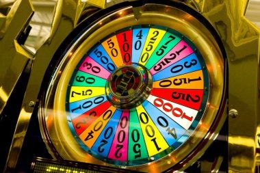 qqmulia mobile interface showing sportsbook and live-dealer options